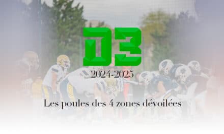 LES POULES DE LA TROISIÈME DIVISION (D3) DÉVOILÉES